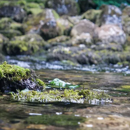 Vikendica Sara 펜션