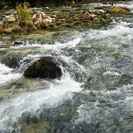 펜션 Vikendica Sara