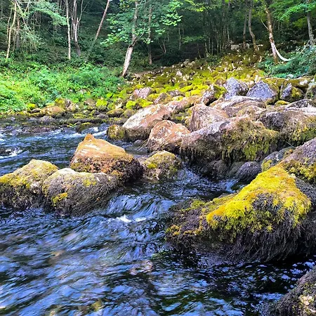 Vikendica Sara 펜션 *