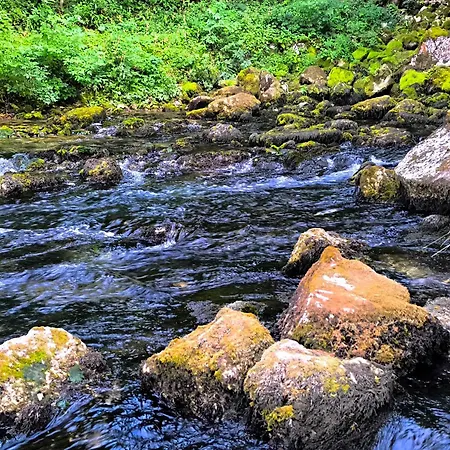 Vikendica Sara 펜션