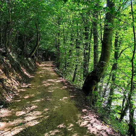 Vikendica Sara 펜션 *