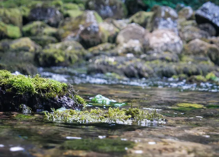 Vikendica Sara Nyaraló