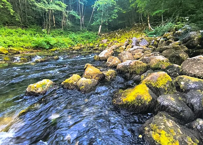 Nyaraló Vikendica Sara