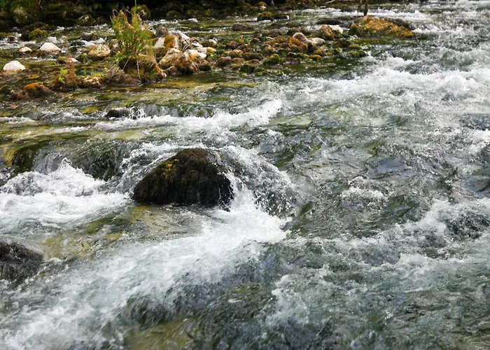 Nyaraló Vikendica Sara