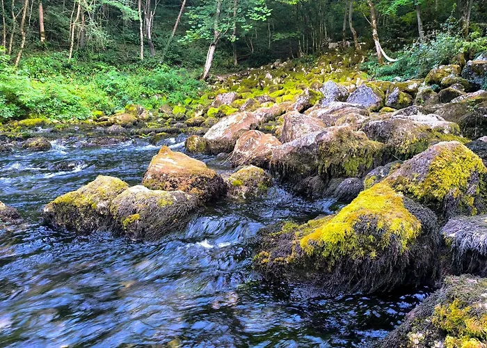 Vikendica Sara Nyaraló *