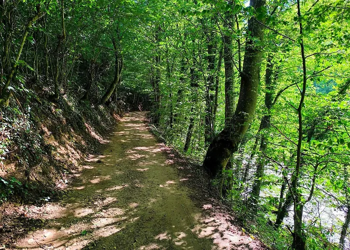 Vikendica Sara Nyaraló *